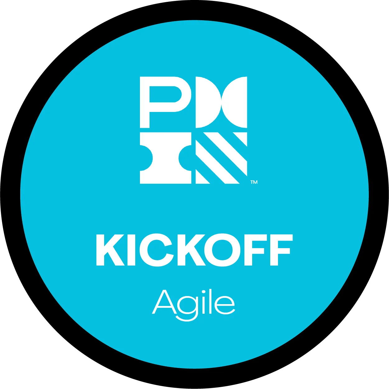 PMI Agile Management